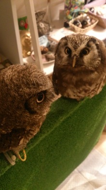 blog_import_54d5fdc254774