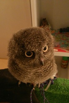 blog_import_54d5fdc37e282