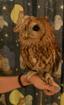 blog_import_54d5fdccf365b