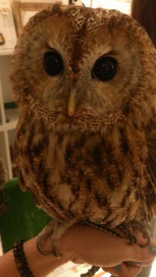 blog_import_54d5fdce32b44