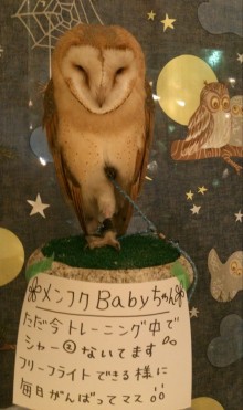 blog_import_54d5fdd00600f