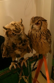 blog_import_54d5fdd2b8034