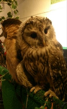 blog_import_54d5fdd529f96