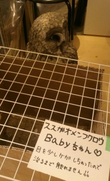 blog_import_54d5fdd6db464