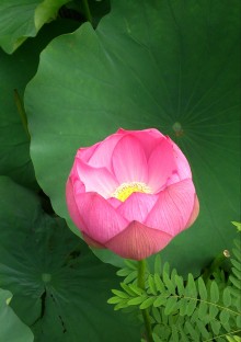 blog_import_54d5fddacb5e2