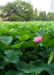 blog_import_54d5fddf7e3c1