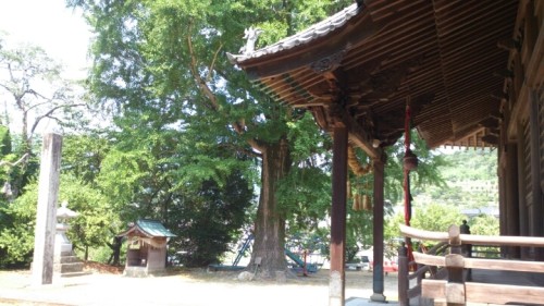 blog_import_54d5fdfdde545