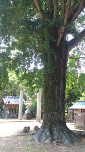 blog_import_54d5fe012e63b