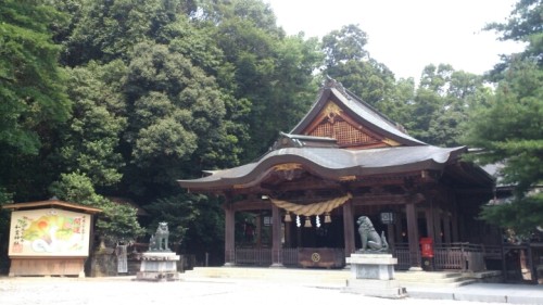 blog_import_54d5fe32eabf5