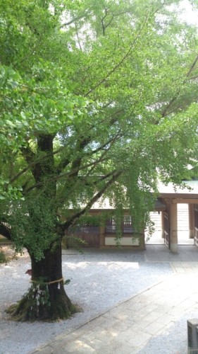 blog_import_54d5fe3f6a97f