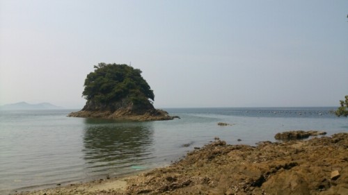 blog_import_54d5fe47c73dc