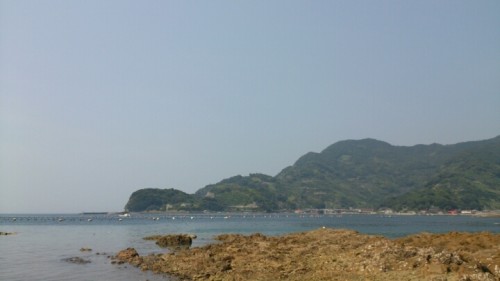 blog_import_54d5fe4c22ed5