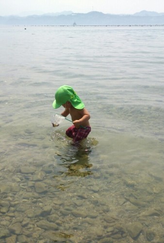 blog_import_54d5fe5b1c09a