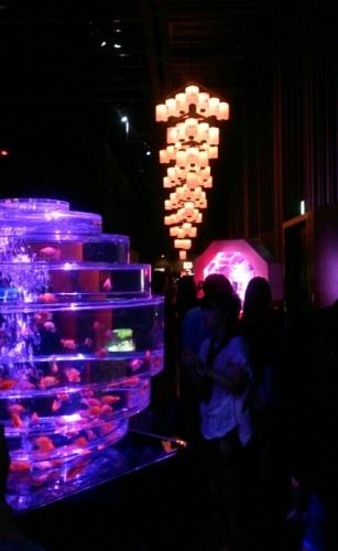 blog_import_54d5fe8a3b126