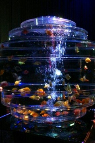 blog_import_54d5fe940e9c0