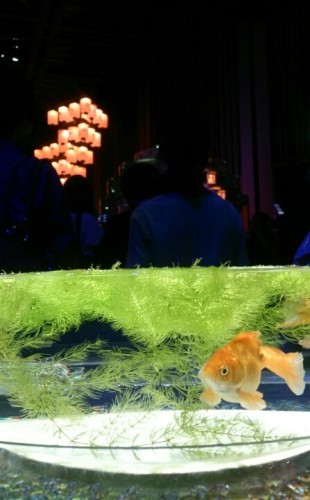 blog_import_54d5fe9a65998