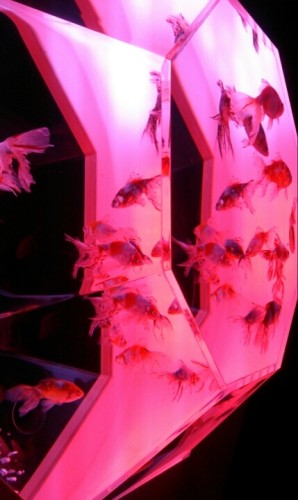 blog_import_54d5feab28151