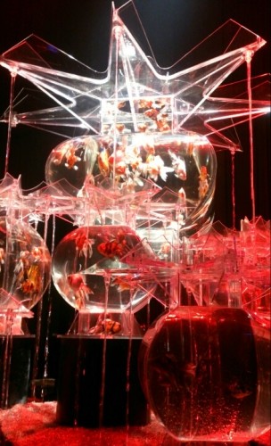 blog_import_54d5feefd1589