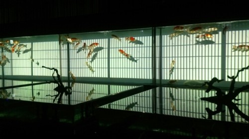 blog_import_54d5fef40db26