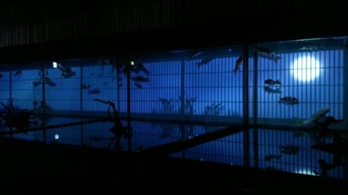 blog_import_54d5fef74ff76