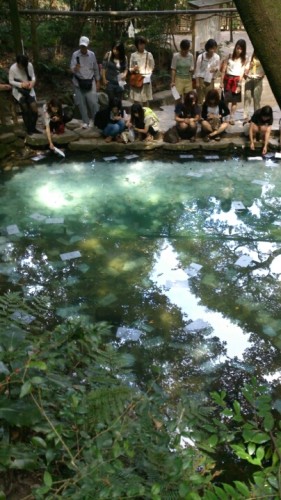 blog_import_54d5ff37eada4