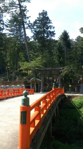 blog_import_54d5ff3e51aea