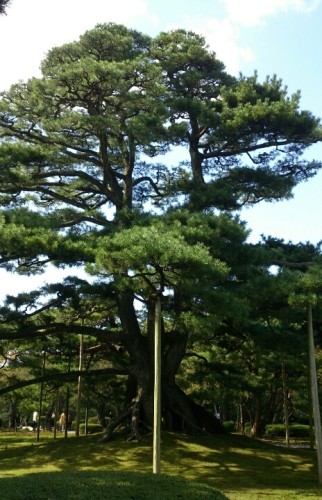 blog_import_54d5ffdf37564