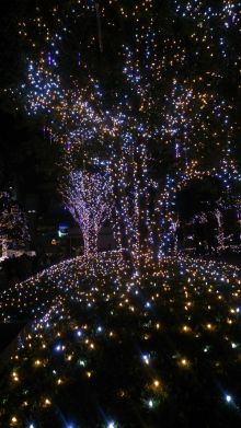 blog_import_54d60022d2903