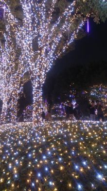 blog_import_54d60023cd613