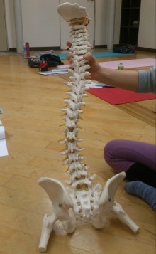 blog_import_54d6003d52f06