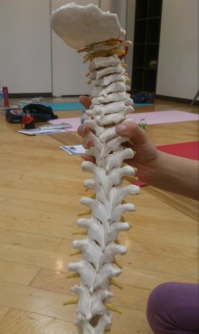 blog_import_54d6003e4aca4