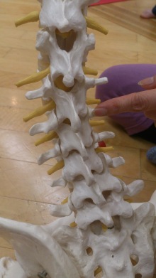 blog_import_54d6003f3be30