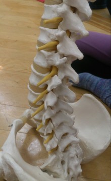 blog_import_54d6004066af3