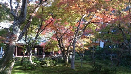 blog_import_54d6006443caa