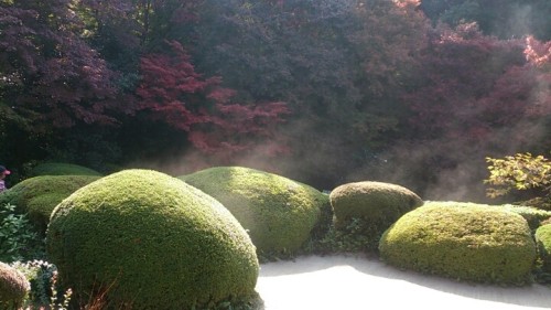 blog_import_54d60070b755a