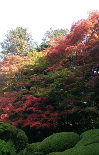 blog_import_54d60075e3541