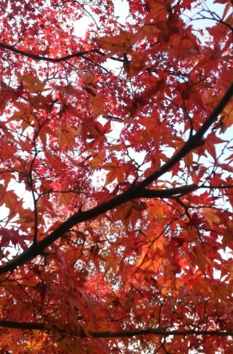 blog_import_54d600837b289