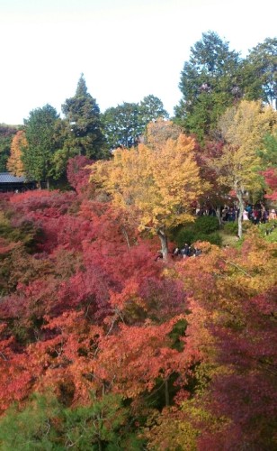 blog_import_54d60090ab4f0