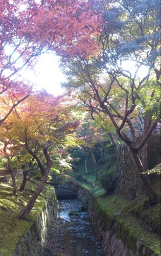 blog_import_54d6009f67f7d