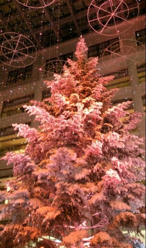 blog_import_54d60111045c8