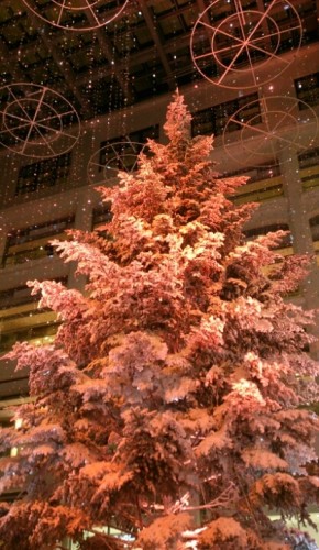 blog_import_54d60115591e7