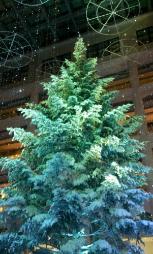 blog_import_54d6011dea2e8