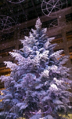 blog_import_54d6012450f14