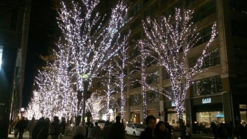 blog_import_54d6016988cb3