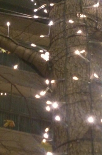 blog_import_54d6016cf2eeb