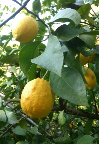 blog_import_54d6019d82d27