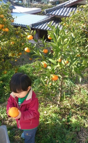 blog_import_54d601a22f916