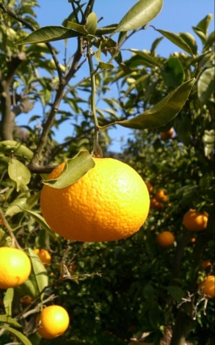 blog_import_54d601ac9cefd