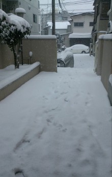 blog_import_54d60221260de