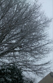 blog_import_54d6022246cee